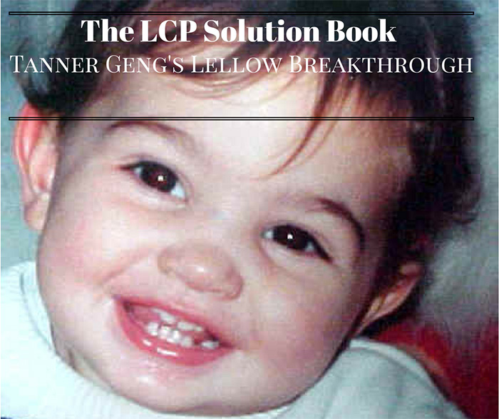 The LCP Solution Book