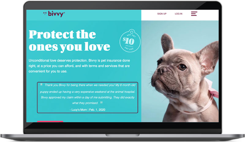 Bivvy website screenshot