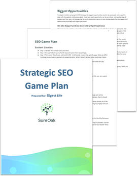 SEO Strategy Plan Sample Documents