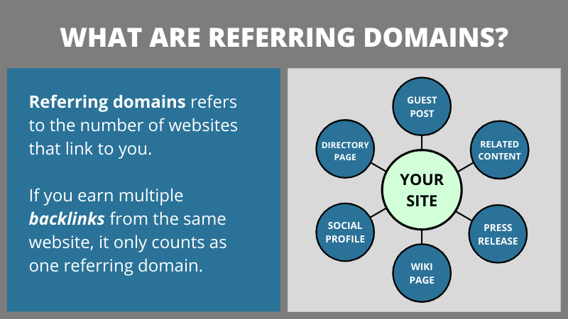 What are referring domains